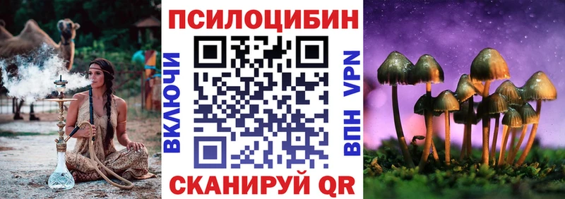 Галлюциногенные грибы Magic Shrooms  Купить  Ефремов 